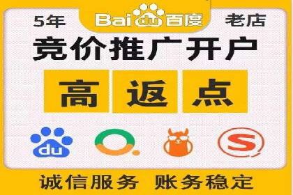百度竞价排名服务：成功案例解析与优化策略